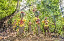   Papua New Guinean Kalam, by Nagi Yoshida   