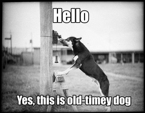 yes this is old-timey dog