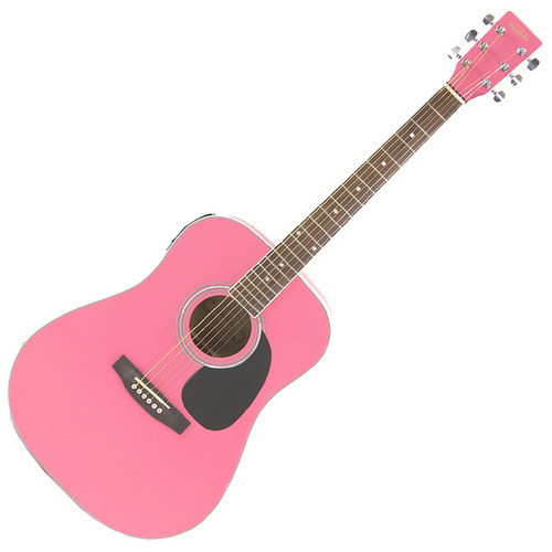 Macassar ebony guitar