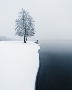 archatlas:   Shapes of Nature Trees surround us with their beauty in this set of photographs captured by Mikko Lagerstedt  in Finland.   