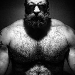 planesdrifter:  Follow planesdrifter: trueTHAT if you’re an admirer of older, hairy natural and muscular men.Check it out and the archive too or the live cams.  I bet he would be great at beating my ass and holding me close