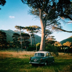 lensblr-network:  One of my favourite Cape Town shots. Edited with @vsco. by manmakepicture.tumblr.com