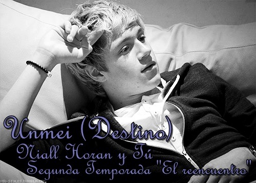 Unmei (Destino) "El reencuentro" [One Direction] [Niall y Tú]  Tumblr_mxgk31pf8n1s6tmrso1_500