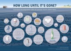give-a-fuck-about-nature:How long until it’s gone?Line fishing (including hook): 600 years Plastic bottle: 450 years  Common Lata: 50 years  Aluminum can: 200 years  Plastic unite in six pack cans: 400 Years  Biodegradable plastic, to unite in