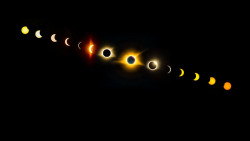 astronomyblog:    Total Solar Eclipse Timelapse by Frank Miller