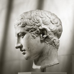 met-greekroman-art: Marble head of a youth by Polykleitos, Greek and Roman ArtRogers Fund, 1907 Metropolitan Museum of Art, New York, NYMedium: Marble 