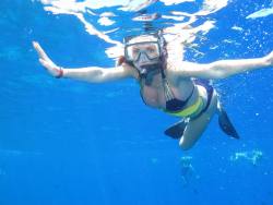 Snorkeling in Maui by nikkibenz