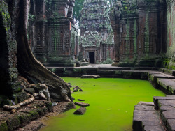 duhhvana:arjuna-vallabha:  Flooded ruins at Angkor  this looks like a video game scene