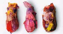  there’s a species of solitary mason bees that make pretty little nests for their larvae out of flower petals. 