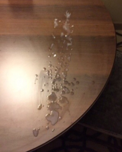 An amazing load of cum from a breeder&hellip;even with it just on the table top you can feel the strength and sexual power in it&hellip;.
