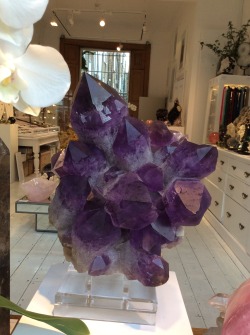venusrox:An explosion of Bolivian Amethyst Points New into the showroom, a fine example of exquisite Amethyst Crystals from Bolivia. Boasting deep purples, natural points and magnificent energy. This masterpiece will leave you speechless. Now available