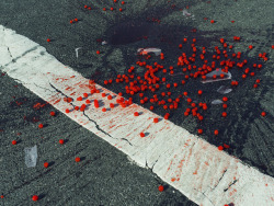 nitramar:Cherries spilled on crosswalk. New York, USA. 2014. Photo by Christopher Anderson / Magnum Photos.