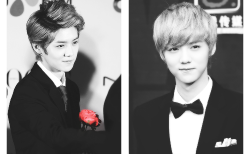 exoplushie-deactivated20141116:  Exo x suit  ↳ Luhan 