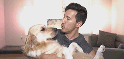 dogiplier:  u can never have too many chica gifs
