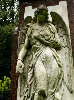 celtic-cat2u:  Sadness flies away with the wings of the time. Unknown cemetery Krefeld 
