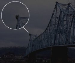 unexplained-events:  The Legend of the Mothman” explores the strange disturbances, odd sightings, bizarre occurrences and strange eyewitness reports connected to a creature known as the Mothman, first sighted in the Point Pleasant, West Virginia area
