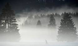 Traversing the mist (cross-country skier in Oberstdorf, Germany)