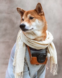 mensweardog:  Model/Blogger/Photographer/Dog 