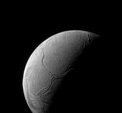 willymaykit:   Y Marks the Spot     A sinuous feature snakes northward from Enceladus’ south pole like a  giant tentacle. This feature, which stretches from the terminator near  center, toward upper left, is actually tectonic in nature, created by 