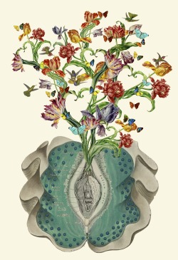 sexxxisbeautiful:  savannah-saving-the-world:  bedelgeuse:  &ldquo;Anatomy of a Female Orgasm&rdquo; collage art by bedelgeuse. Created for the 30th annual exotic art show.  This is so pretty.  would tattoo on me.