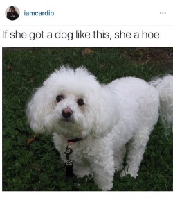 thottness:  cumnog:  my grandma has a dog like this….  Ya grandma a hoe 
