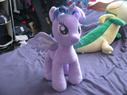 my pone i need to get a better hair comb for her because the one i used ripped out a lot of hair :(
