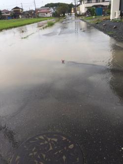 thetillys:  ftcreature:  sasaq:  11:50 AM - 10 Sep 2015 (via Twitter / ふ み な @Fuuut_09)    The Lord of the Puddle has Awoken.  @mrpinchy 