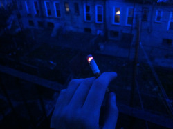 electrai:  aizea:  0htitz:  i’ve only done it a few times, but smoking at 4am, with your head out the window, smelling the fresh morning breeze and savoring the rare moment of uninterrupted silence just before the sun comes up is probably one of the