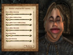 officialsakuyaizayoi:  ayrenn-arana-aldmeri:  goatallyouwant:  ive done it ive created the most beautiful oblivion character  i challenge you to an oblivion beauty contest, and raise you my amazing dunmer   please welcome bobby shitfuck  