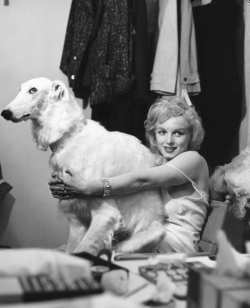 luv50sand60s:  Marilyn Monroe with her furry friend - 1958.~Photo by Richard Avedon