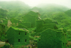 innocenttmaan:  Shengsi, an archipelago of almost 400 islands at the mouth of China’s Yangtze river, holds a secret shrouded in time – an abandoned fishing village being reclaimed by nature. These photos by Tang Yuhong, a creative photographer based