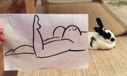 So that&rsquo;s the origin of the term &ldquo;hump like rabbits&rdquo;