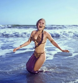 celebgoodies:  hobosnottygras:  deathstarwaltz:  Can we just appreciate this photoset for a second? Carrie Fisher as Princess Leia - Rolling Stone (1983)   