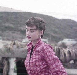 gatabella:  Audrey Hepburn by Milton H. Greene