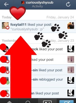 curiouslyshysub:  OMG OMG GUISE FOXYTAIL LIKES MY TAIL PIC IM SO EXCITED GAH I LOVE HER/THEM  Ok seeing posts like these remind me of why I put in so much time and effort into my blog&hellip; this makes me so happy! http://curiouslyshysub.tumblr.com/