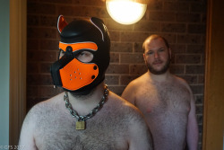 sungodprime: We had some friends over  @pupboss and his partner/pup @humanpuppics , and they brought some gear for us to try. This is me wearing an orange neoprene pup hood. A weird experience but pretty cool! -Photo taken by GPup Alpha Some more photos