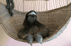 4noptimisticpessimist:  this gif actually changed my life  