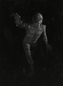 ronaldcmerchant: the CREATURE FROM THE BLACK LAGOON (1954)  EDIT-I’ve had 2 folks tell me this is from REVENGE OF THE CREATURE (1955)- I believe they’re right! 