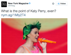 somedayinjakarta:  thotastique:  abductee420:  a few excerpts of new york magazine ripping katy to shreds 💀    I forgot to tell u all I got a job at ny magazine 