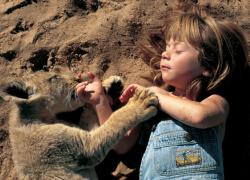 history-inpictures: 6-year-old Tippi Degre soaking up the sun with her pet lion cub, 1996