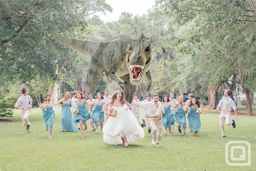 yelyahwilliams: madeofair: chrisdaps: BEST. WEDDING. PHOTO. IDEA. EVER. oh. my. god. k, i like this. 