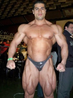tinydickjock:  Huge buffed bodybuilder in public showing off his tiny posing suit package…
