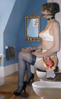 Here we see a woman shitting in the bathroom.Â  The cross section shows what is going on inside her bottom.