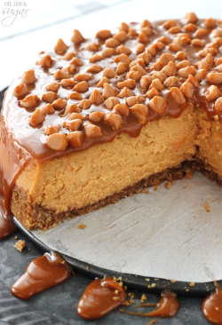fullcravings:  Loaded Butterscotch Cheesecake