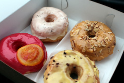 f-word:  donuts!: lemon poppy seed, dulce de leche, passionfruit with cocoa nibs, blood orange photo by wallyg