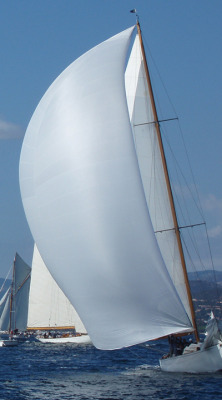 White sails are always in style.