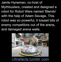 unrenderedfuture:  lockwiththehorns: oatmealartistry:  mickeydraws:  ultrafacts:  morwenpost:   ultrafacts:     Source Follow Ultrafacts for more facts     That sounds about right for Mythbusters.     - Blendo was put together before Mythbusters was a