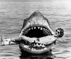  Steven Spielberg on set of Jaws (1975) 
