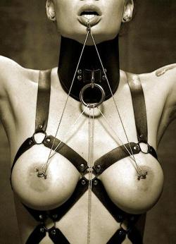zenharness:  sexynippleclamps:     Other kinky blogs: - Lesbians, Strapons, &amp; Oral Sex- Dildos, Vibrators, &amp; Anal Plugs- Hot Ball Gags  Like harness pics? You’ll likehttp://zenharness.tumblr.com/It’s a little bit fetish a little bit bondage.