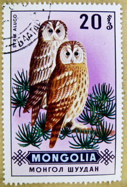 libutron:  Beautiful stamp Mongolia 20M (0.2 ₮) Tawny Owl (Strix aluco) | ©stampolina  